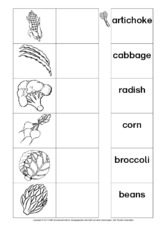 AB-vegetables-Zuordnung 3.pdf